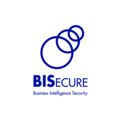Business Intelligence Security